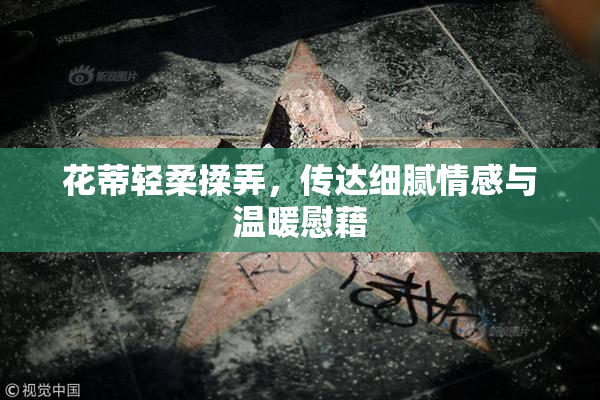 花蒂轻柔揉弄，传达细腻情感与温暖慰藉