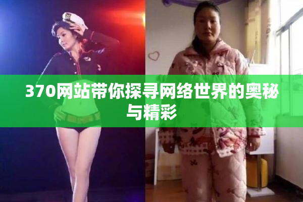 370网站带你探寻网络世界的奥秘与精彩
