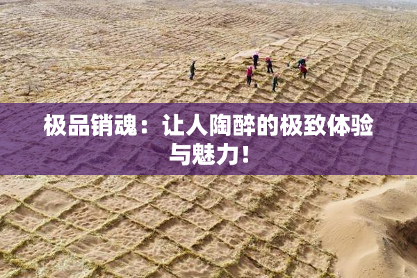 极品销魂：让人陶醉的极致体验与魅力！