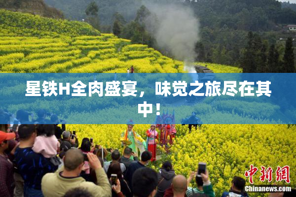 星铁H全肉盛宴，味觉之旅尽在其中！