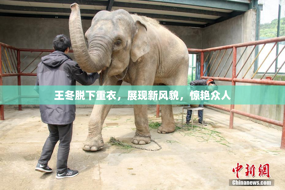 王冬脱下重衣，展现新风貌，惊艳众人