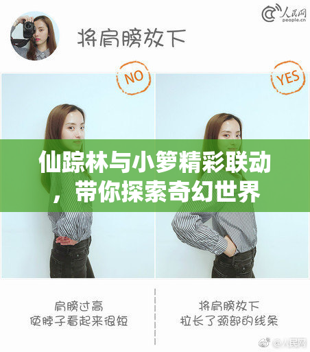 仙踪林与小箩精彩联动，带你探索奇幻世界