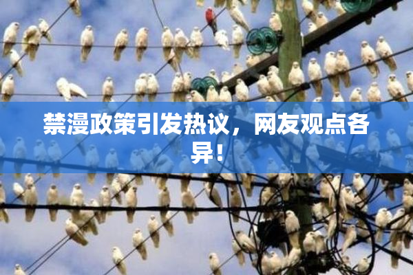 禁漫政策引发热议，网友观点各异！