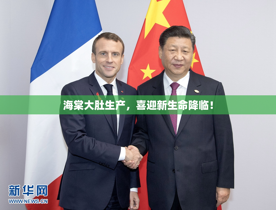 海棠大肚生产，喜迎新生命降临！