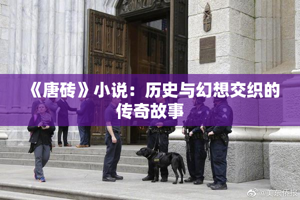 《唐砖》小说：历史与幻想交织的传奇故事