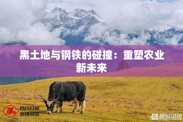 黑土地与钢铁的碰撞：重塑农业新未来