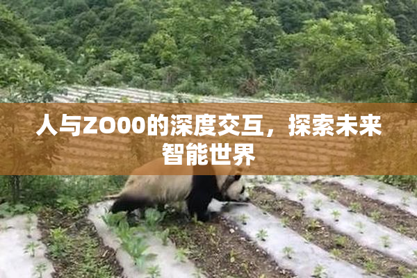人与ZO00的深度交互，探索未来智能世界