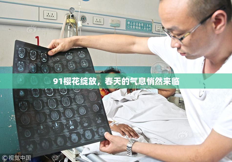 91樱花绽放，春天的气息悄然来临