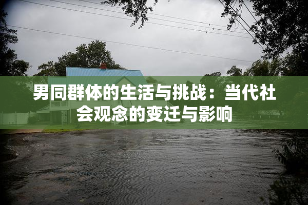 男同群体的生活与挑战：当代社会观念的变迁与影响