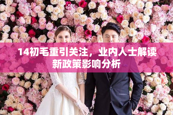 14初毛重引关注，业内人士解读新政策影响分析