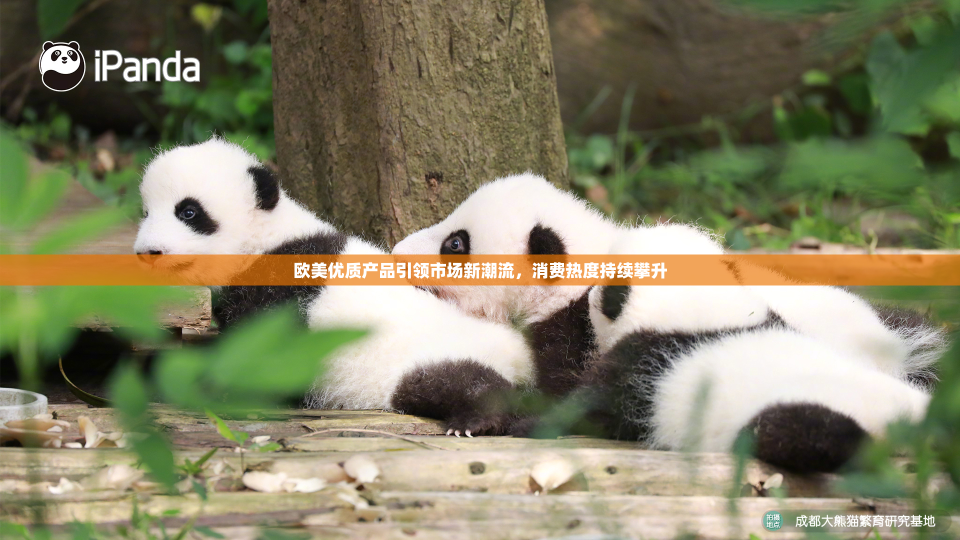 欧美优质产品引领市场新潮流，消费热度持续攀升