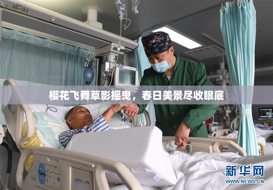 樱花飞舞草影摇曳，春日美景尽收眼底