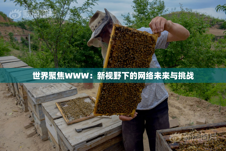 世界聚焦WWW：新视野下的网络未来与挑战