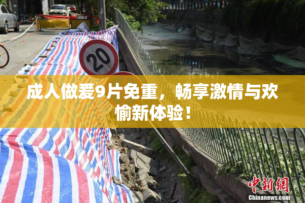成人做爰9片免重，畅享激情与欢愉新体验！