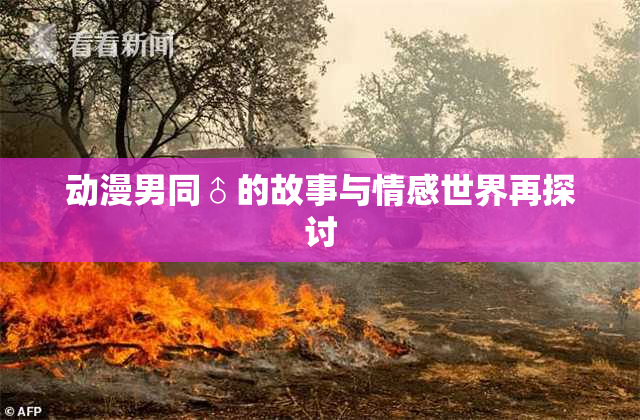 动漫男同♂的故事与情感世界再探讨