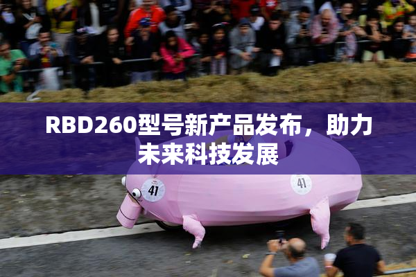 RBD260型号新产品发布，助力未来科技发展