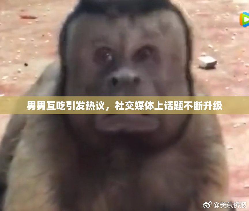 男男互吃引发热议，社交媒体上话题不断升级