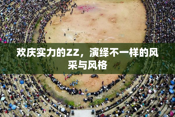 欢庆实力的ZZ，演绎不一样的风采与风格