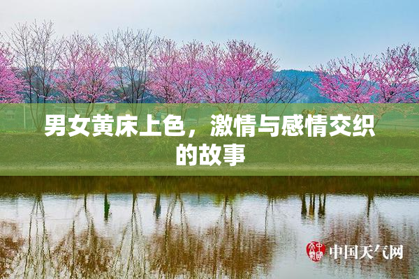 男女黄床上色，激情与感情交织的故事