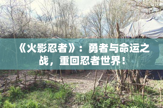 《火影忍者》：勇者与命运之战，重回忍者世界！