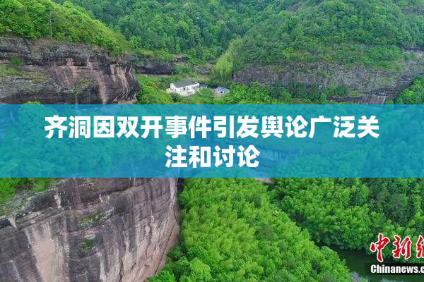 齐洞因双开事件引发舆论广泛关注和讨论