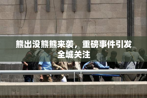 熊出没熊熊来袭，重磅事件引发全城关注