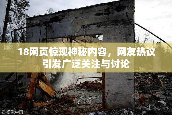 18网页惊现神秘内容，网友热议引发广泛关注与讨论