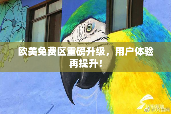 欧美免费区重磅升级，用户体验再提升！
