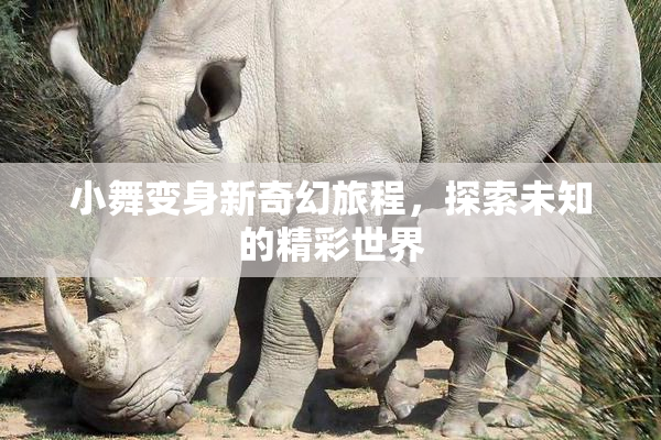 小舞变身新奇幻旅程，探索未知的精彩世界