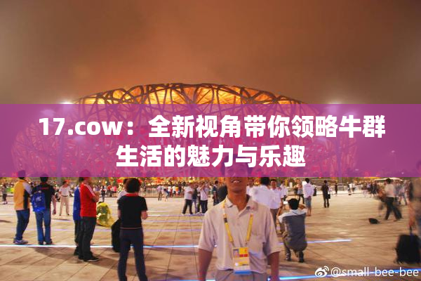 17.cow：全新视角带你领略牛群生活的魅力与乐趣