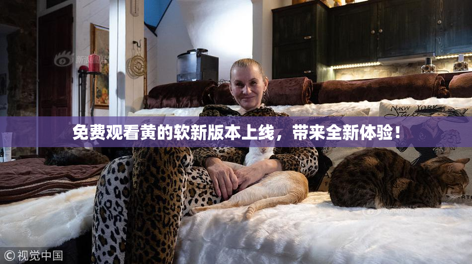 免费观看黄的软新版本上线，带来全新体验！