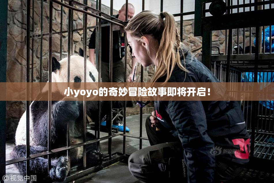 小yoyo的奇妙冒险故事即将开启！