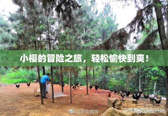 小樱的冒险之旅，轻松愉快到爽！