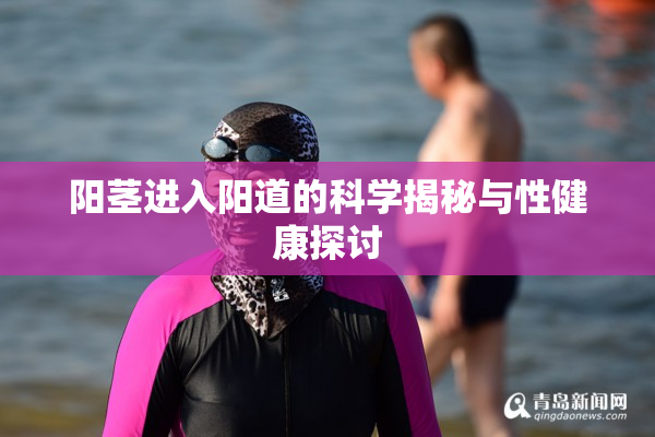 阳茎进入阳道的科学揭秘与性健康探讨