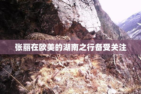 张丽在欧美的湖南之行备受关注