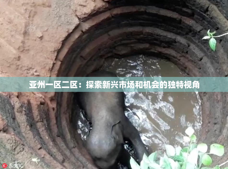 亚州一区二区：探索新兴市场和机会的独特视角