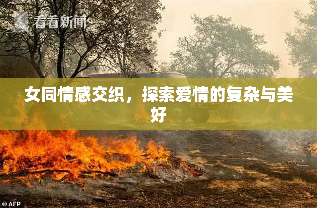 女同情感交织，探索爱情的复杂与美好