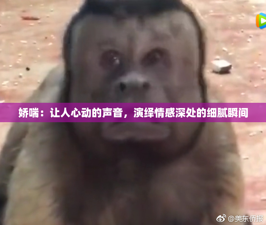 娇喘：让人心动的声音，演绎情感深处的细腻瞬间