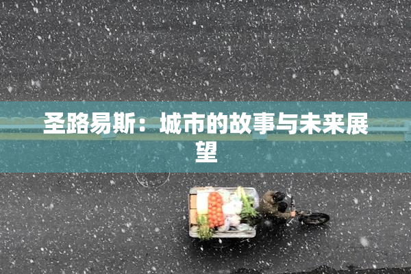 圣路易斯：城市的故事与未来展望