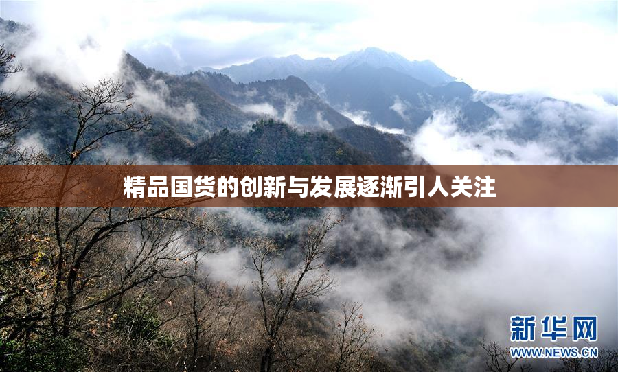 精品国货的创新与发展逐渐引人关注