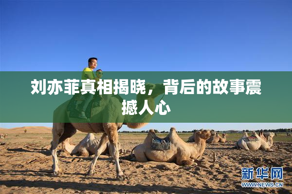 刘亦菲真相揭晓，背后的故事震撼人心