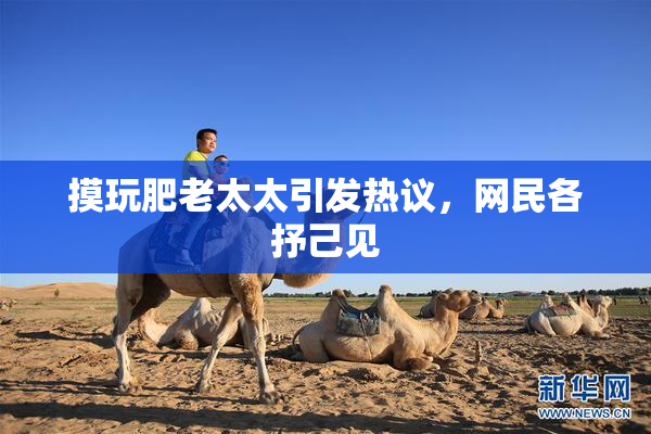 摸玩肥老太太引发热议，网民各抒己见
