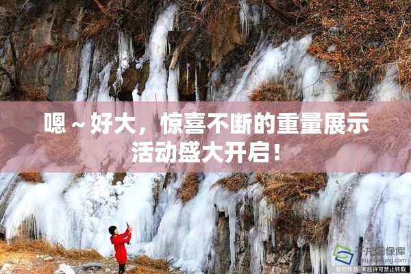 嗯～好大，惊喜不断的重量展示活动盛大开启！