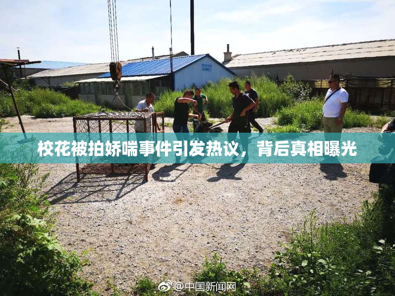 校花被拍娇喘事件引发热议，背后真相曝光