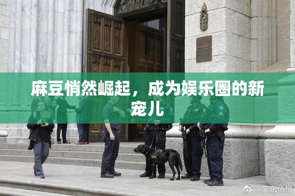 麻豆悄然崛起，成为娱乐圈的新宠儿
