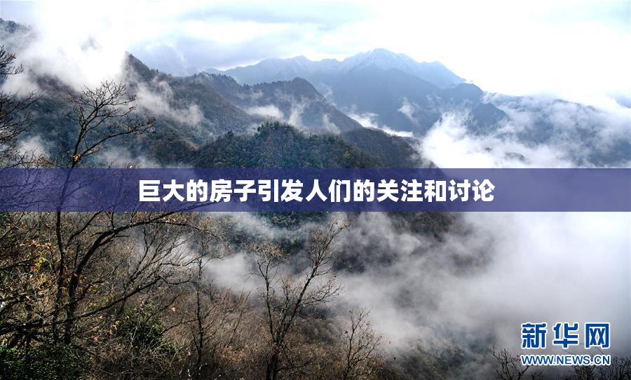 巨大的房子引发人们的关注和讨论