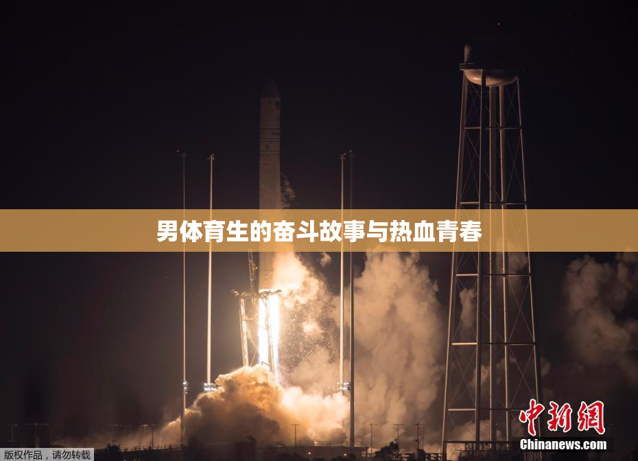 男体育生的奋斗故事与热血青春
