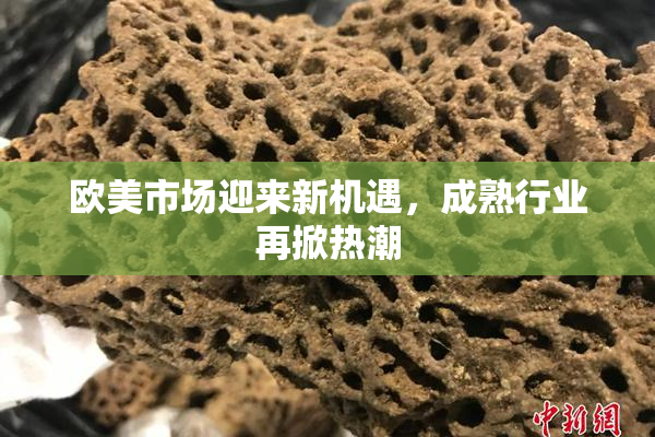 欧美市场迎来新机遇，成熟行业再掀热潮
