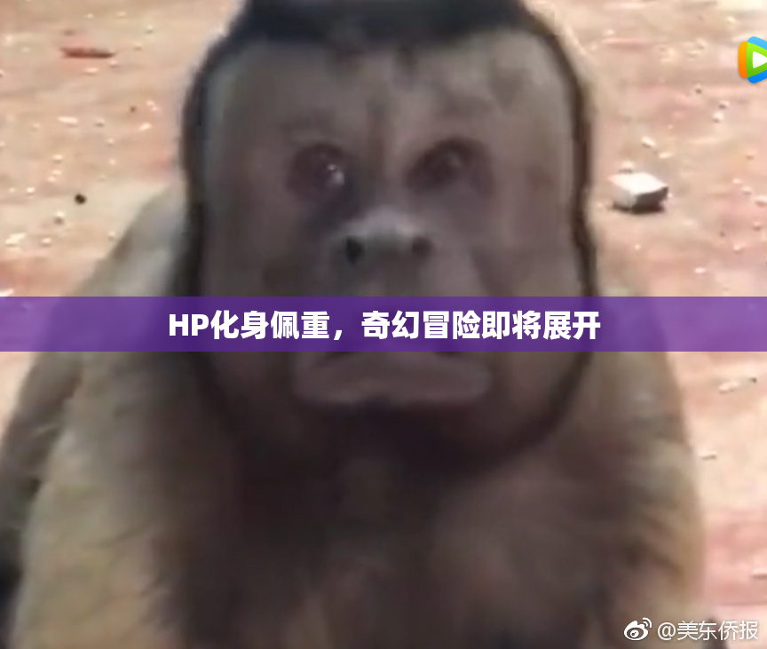 HP化身佩重，奇幻冒险即将展开
