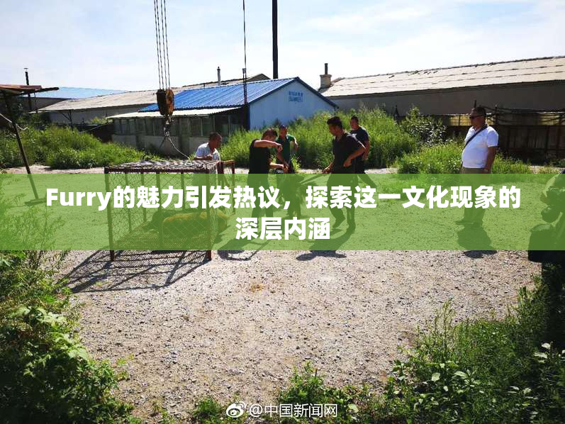 Furry的魅力引发热议，探索这一文化现象的深层内涵